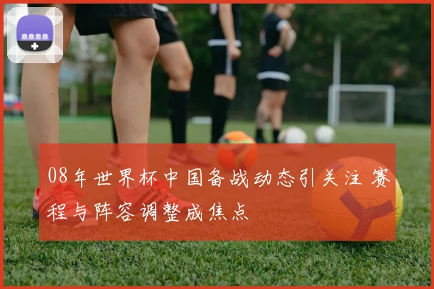 08年世界杯中国备战动态引关注 赛程与阵容调整成焦点